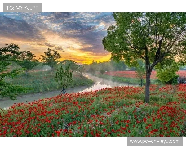 _春季花海：在花园中举行的浪漫赛事_，花海集锦