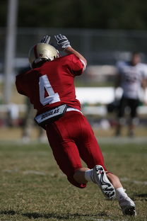 乐鱼在线-中超球队双前锋战术成效分析，双前锋组合