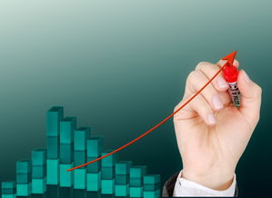 乐鱼VIP注册app下载-运动项目职业路径设计与发展研究，运动职业化